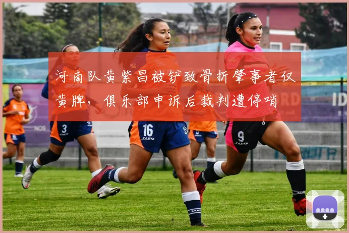 河南队黄紫昌被铲致骨折肇事者仅黄牌，俱乐部申诉后裁判遭停哨